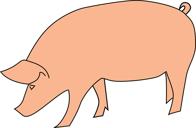 家畜 Oink 猪 - 免费矢量图形