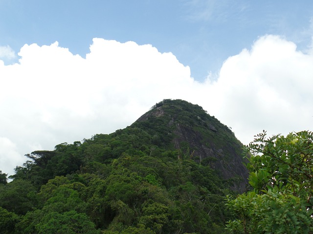 山 里约热内卢 - 上的免费照片