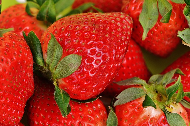 草莓 红色的 浆果 - 上的免费照片