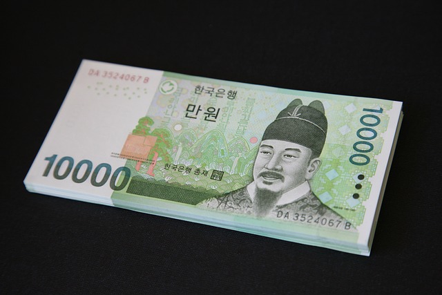 钱 唐 10,000 韩元 - 上的免费照片