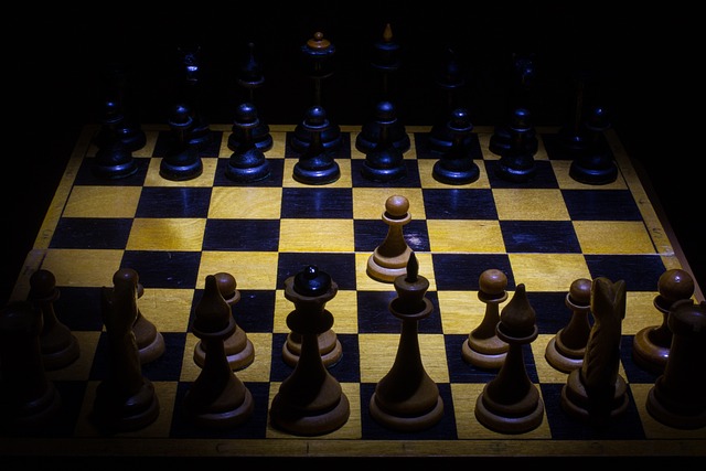 棋 选择 闲暇 - 上的免费照片