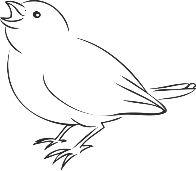鸟 麻雀 斯珀林 - 免费矢量图形