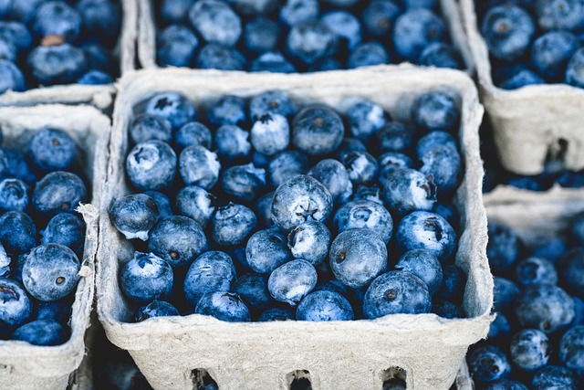 蓝莓 束 浆果 - 上的免费照片