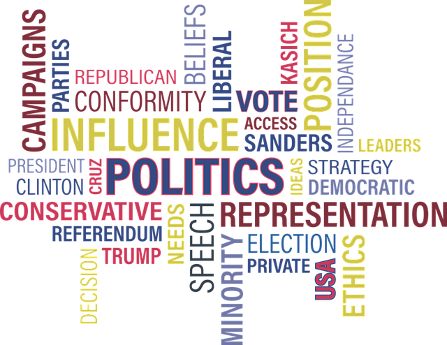 政治 政治的 选票 - 免费矢量图形