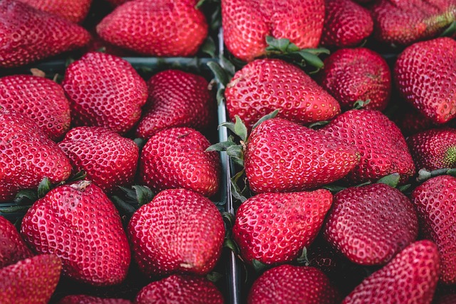 草莓 水果 红色的 - 上的免费照片