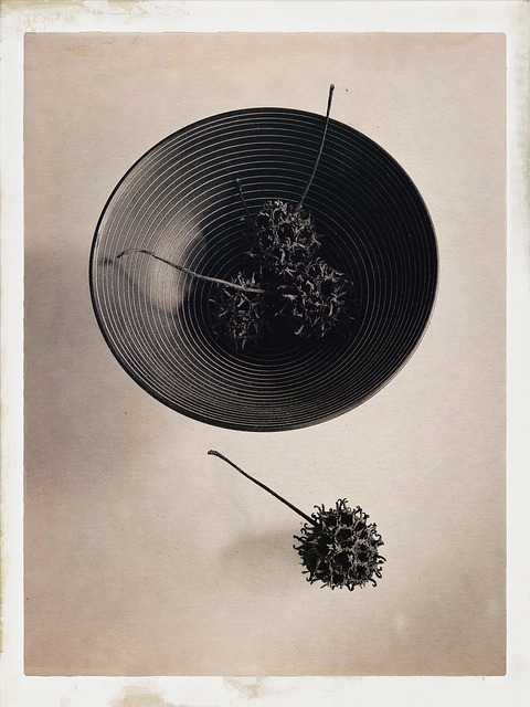 碗 调色 - 上的免费照片