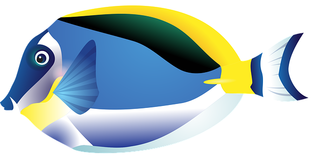 鱼 热带鱼 海洋 - 免费矢量图形