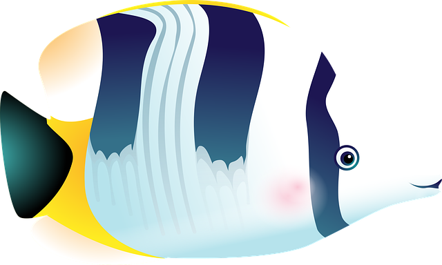 鱼 热带鱼 海洋 - 免费矢量图形