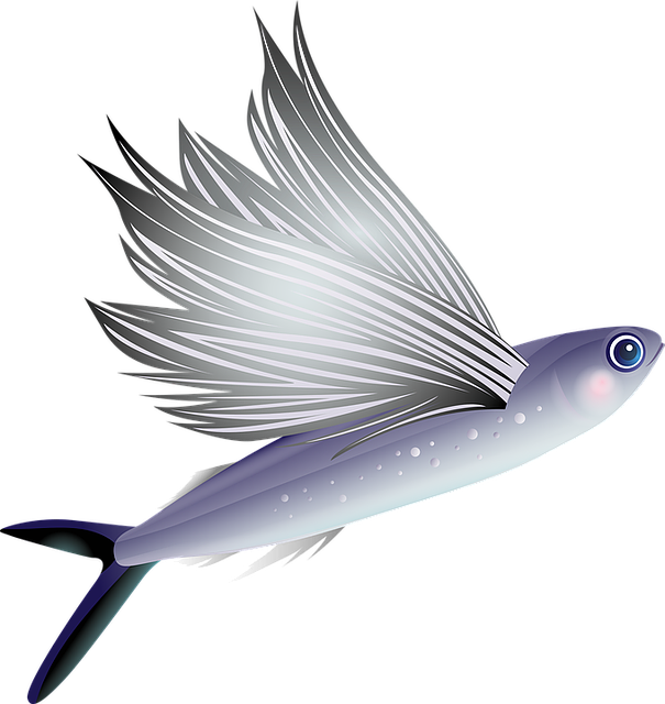 飞鱼 鱼 水族馆 - 免费矢量图形