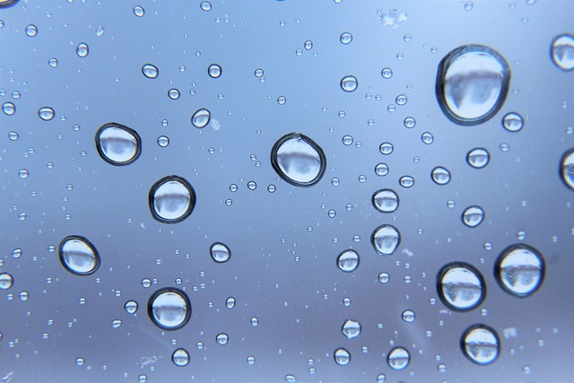 雨 雨滴 雨下落 - 上的免费照片