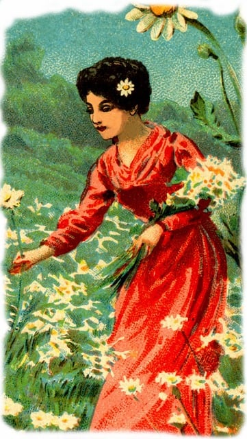 女士 女人 女孩 - 上的免费图片