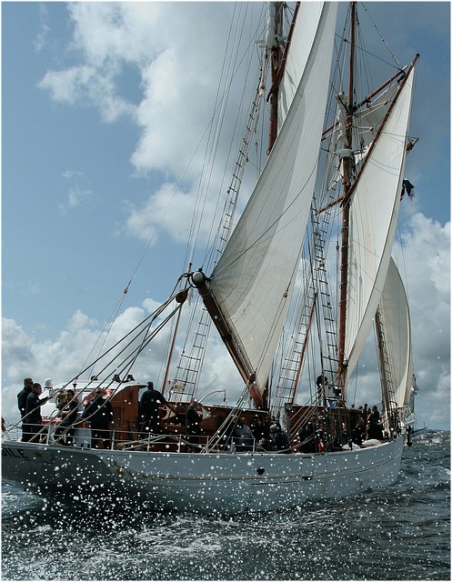 海洋 美丽的母鸡 星星 - 上的免费照片