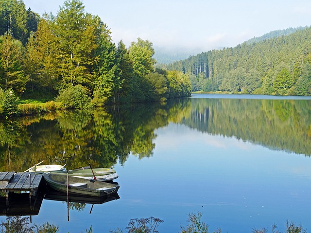 纳戈尔德塔斯佩尔 北部黑森林 湖 - 上的免费照片