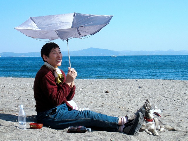 野美海岸 伞 风 - 上的免费照片