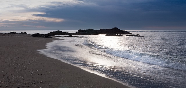 岸 海滩 日出 - 上的免费照片