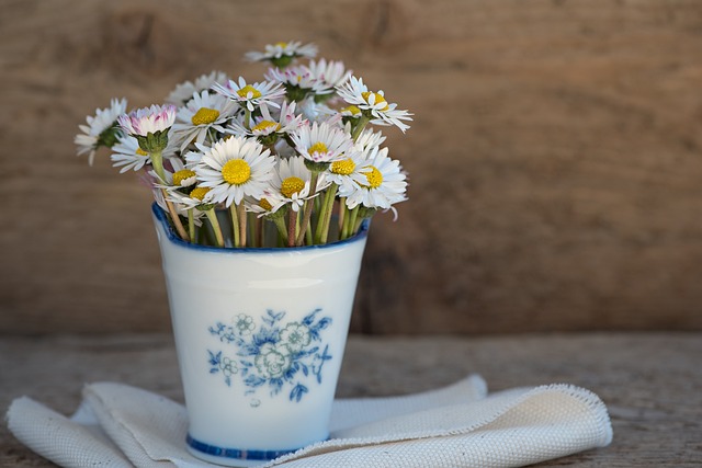 雏菊 花瓶 花朵 - 上的免费照片