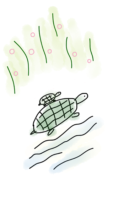 龟 水 母亲和儿童 - 上的免费图片