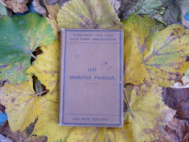 书 体积 法语 - 上的免费照片