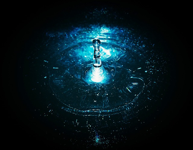 滴 水 水滴 - 上的免费照片