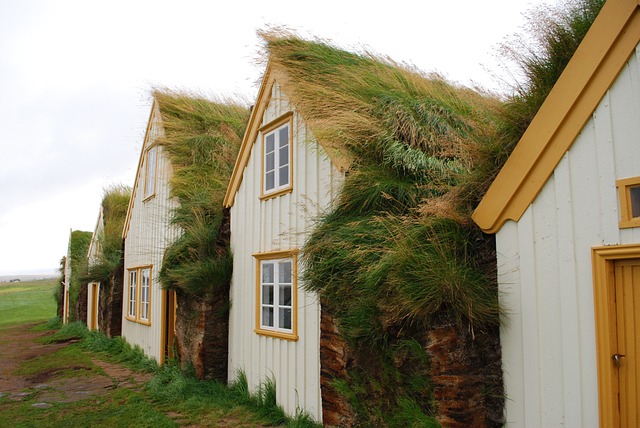 冰岛 房子 人种开放航空博物馆 - 上的免费照片