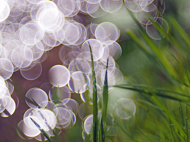 在河边 镜子 背景 - 上的免费照片