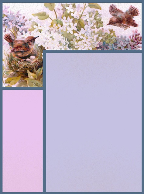 剪贴簿 纸 页 - 上的免费图片