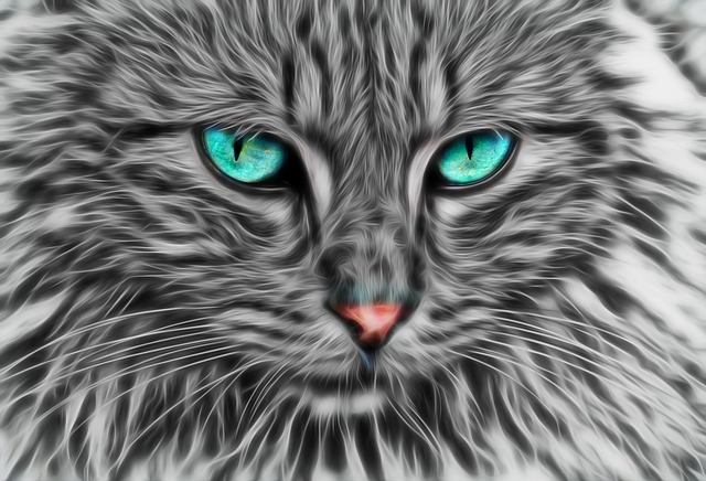 分形 分形猫 猫艺术 - 上的免费图片