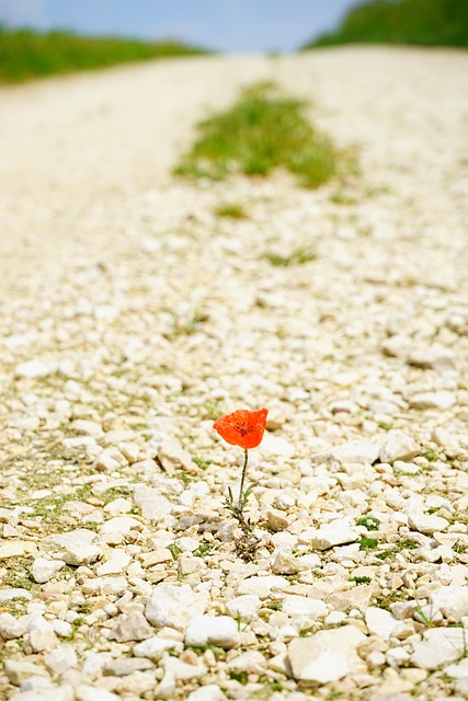 小路 目标 无尽的 - 上的免费照片