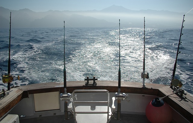 钓竿 海洋 钓鱼 - 上的免费照片