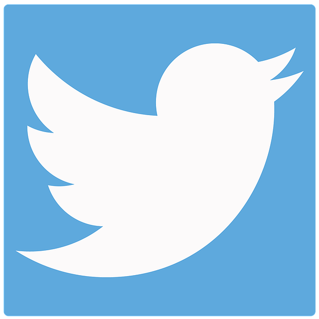 推特鸟 推特按钮 鸟 - 上的免费图片