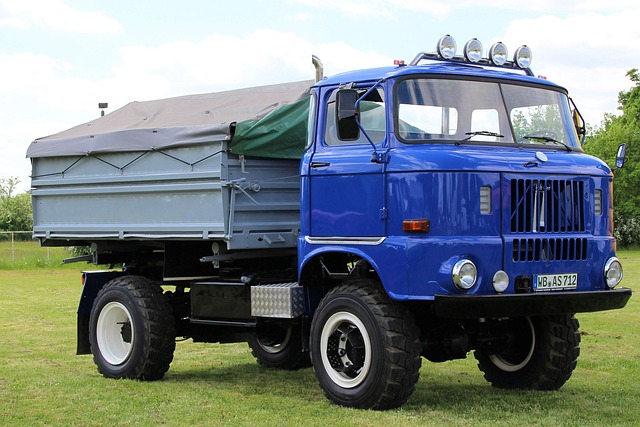 卡车 Ifa W50 东德 - 上的免费照片
