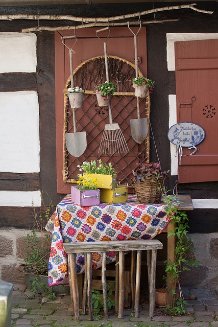 花园 园艺 草药 - 上的免费照片