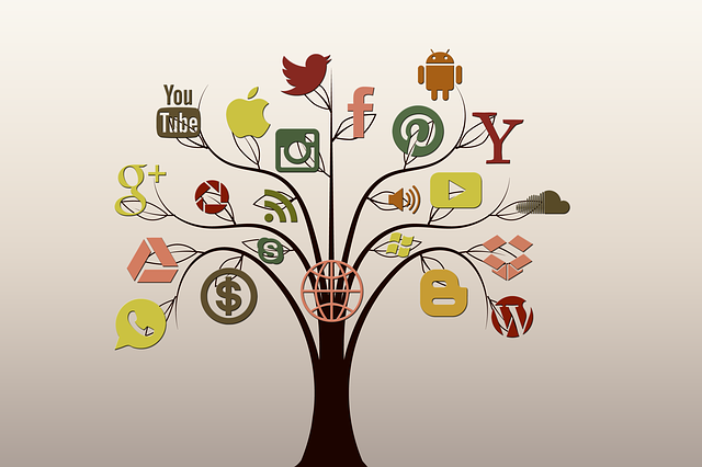 社交媒体 树 结构体 - 上的免费图片