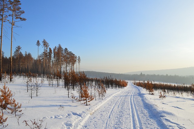 冬季 西伯利亚 雪 - 上的免费照片