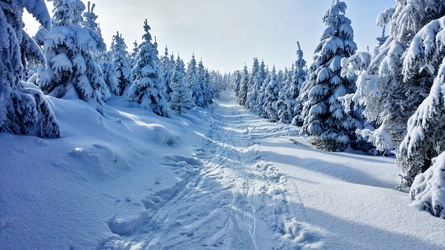 冬季 山 雪 - 上的免费照片