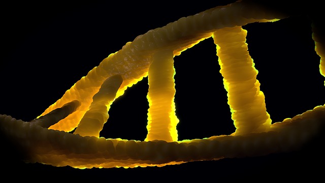 Dna 域名解析 生物学 - 上的免费照片