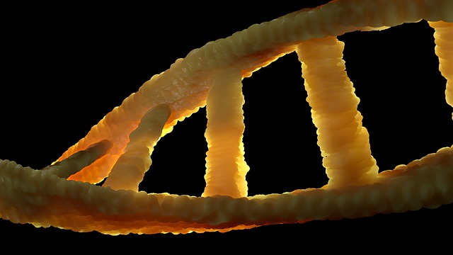 Dna 域名解析 生物学 - 上的免费照片