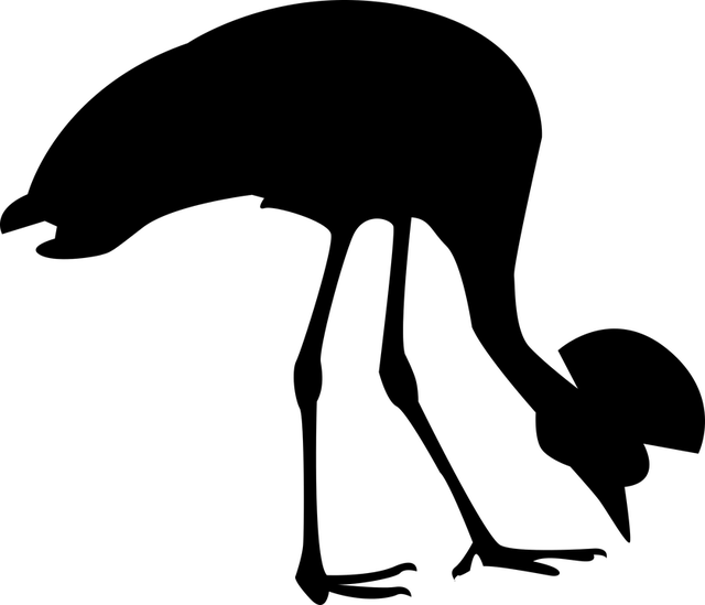 灰色丹顶鹤 苹果浏览器 南非 - 免费矢量图形