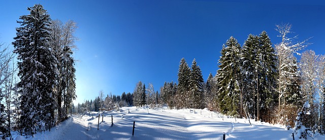 阿尔卑斯山 奥伯斯多夫 德国 - 上的免费照片