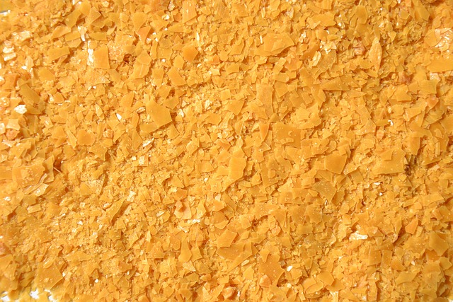 巴西棕榈蜡 盘子 纹理 - 上的免费照片