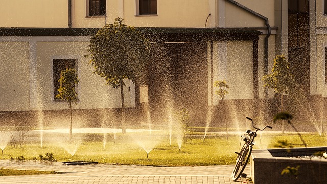 喷泉 自行车 撒马尔罕 - 上的免费照片