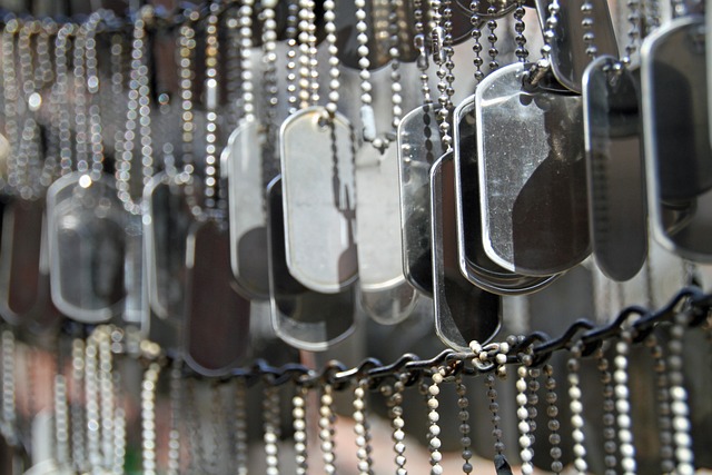 纪念花园 未标记的狗牌 战争纪念馆 - 上的免费照片