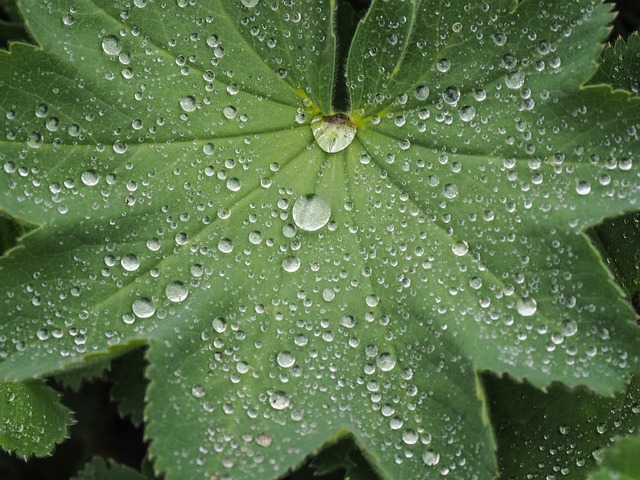降低 雨 宏 - 上的免费照片