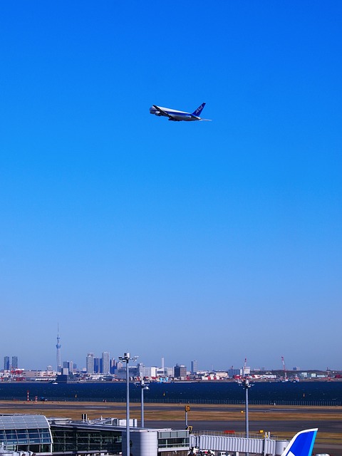 羽田 羽田机场 飞机场 - 上的免费照片