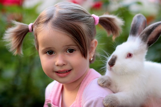 脸 兔子 友善 - 上的免费照片