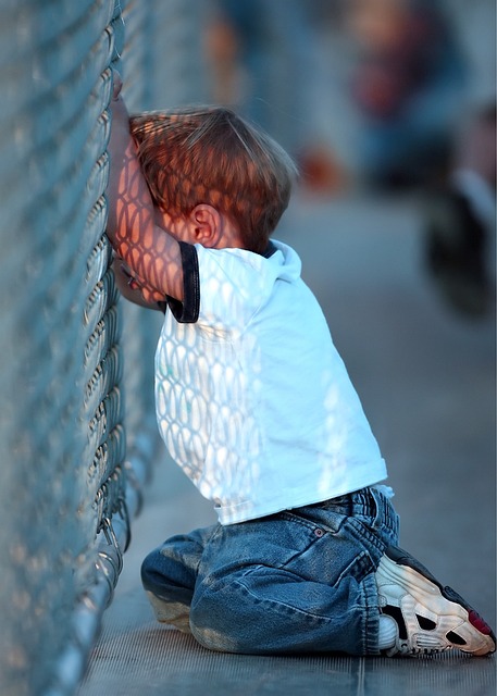 棒球迷 男孩 棒球比赛 - 上的免费照片