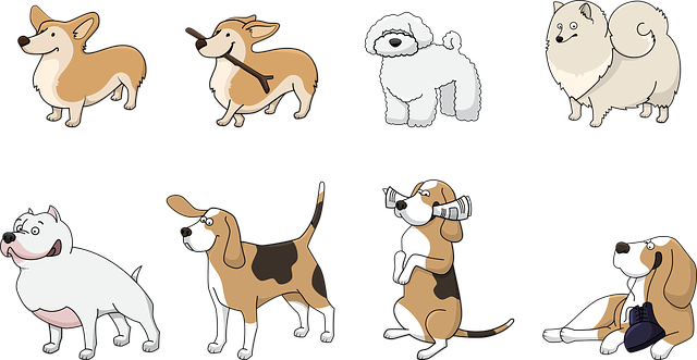 狗 动物 柯基犬 - 免费矢量图形