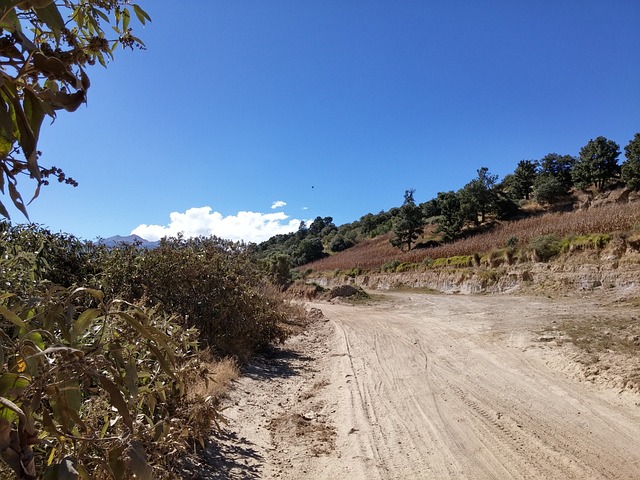 路 户外的 阳光 - 上的免费照片