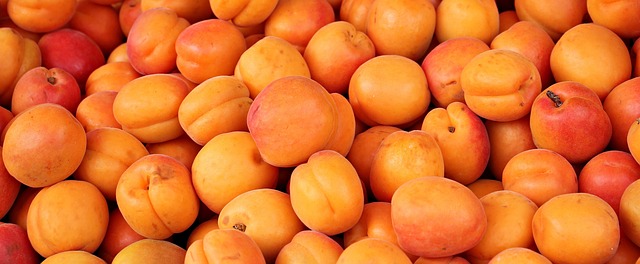 杏子 水果 可爱的 - 上的免费照片