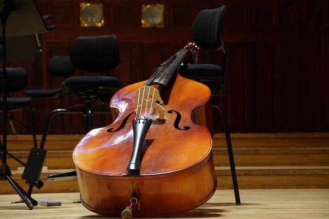低音 低音提琴 乐器 - 上的免费照片